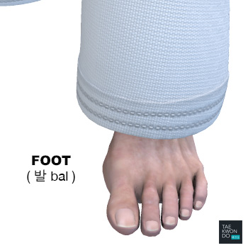 Foot ( 발 bal )