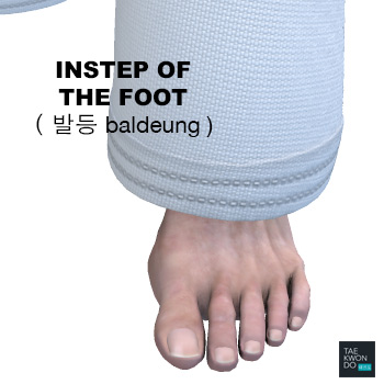 Instep of the Foot ( 발등 baldeung )