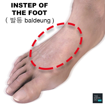 Instep of the Foot ( 발등 baldeung )