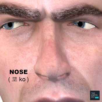 Nose ( 코 ko )