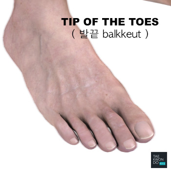 Tips of the Toes ( 발끝 balkkeut )