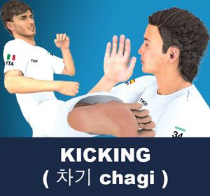 A kick is a physical strike using the foot, leg, or knee