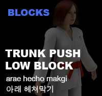 Taekwondo Trunk Push Low Block (arae hecho makgi) 