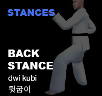 Taekwondo Back Stance ( 뒷굽이 dwi-kubi )