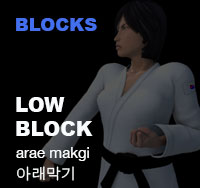 Taekwondo Low Block ( 아래막기 arae-makgi )