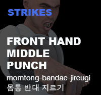 Taekwondo Front Hand Middle Punch ( 몸통 반대 지르기 momtong-bandae-jireugi )