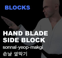 Taekwondo Hand Blade Side Block ( 손날 옆막기 sonnal-yeop-makgi )
