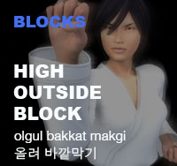 Taekwondo High Outside Block ( 올려 바깥막기 olgul bakkat makgi )