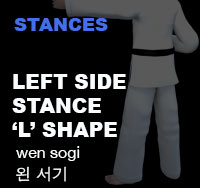 Taekwondo Left side stance (wen sogi)
