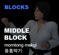 Taekwondo Middle Block ( 몸통막기 momtong-makgi )