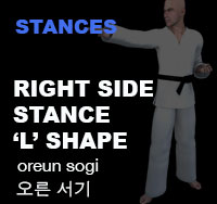 Taekwondo Right Side Stance (oreun sogi)