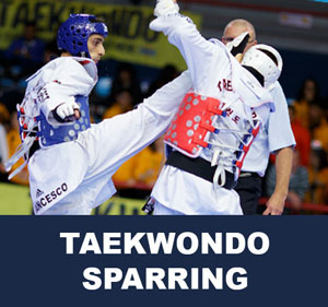 Taekwondo Championship Tournaments