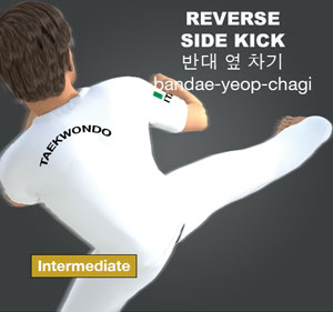 Reverse Side Kick ( 반대 옆 차기 bandae-yeop-chagi )