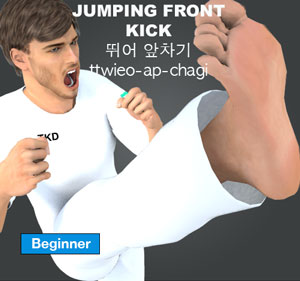 Jumping Front Kick ( 뛰어 앞차기 ttwieo-ap-chagi )