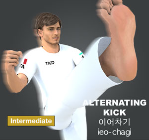 Alternating Kick ( 이어차기 ieo-chagi )