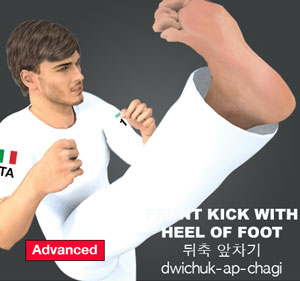 Front Kick with Heel of Foot ( 뒤축 앞차기 dwichuk-ap-chagi )