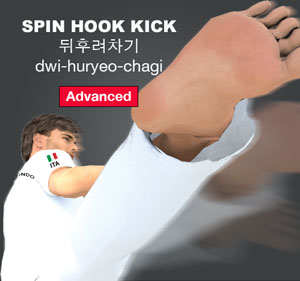 Spin Hook Kick (뒤후려차기 dwi-huryeo-chagi)