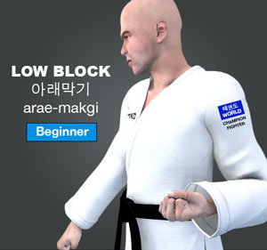 Low Block ( 아래막기 arae-makgi )