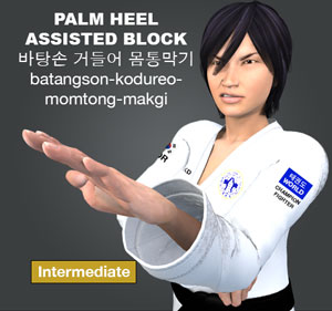 Palm Heel Assisted Block ( 바탕손 거들어 몸통막기 batangson-kodureo-momtong-makgi )