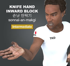 Knife Hand Inner Block ( 손날 안막기 sonnal anmakgi )