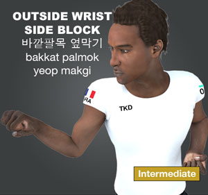 Outside Wrist Side Block ( 바깥팔목 옆막기 bakkat-palmok-yeop-makgi )