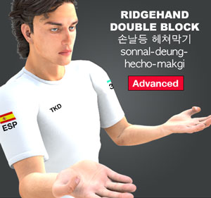 Ridgehand Double Block ( 손날등 헤쳐막기 sonnal-deung-hecho-makgi )