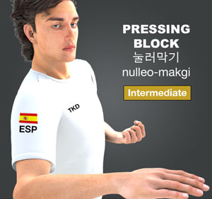 Pressing Block ( 눌러막기 nulleo-makgi )