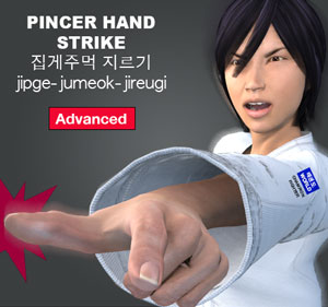 Pincer Hand Strike ( 집게주먹 지르기 jipge-jumeok-jireugi )