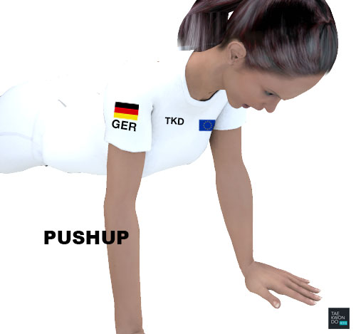 Taekwondo Warming Up Pushups