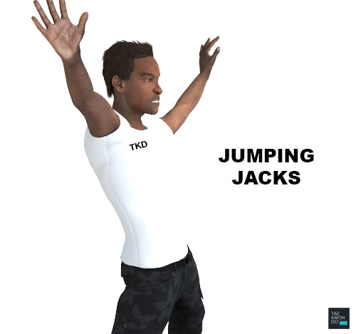 Taekwondo Warming Up Jumping Jacks