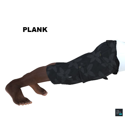 Taekwondo Warming Up Plank